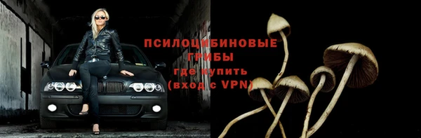 прущие грибы Алексеевка