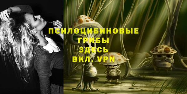 спиды Арсеньев