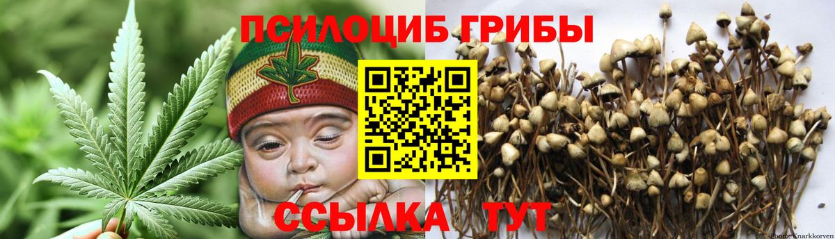 Псилоцибиновые грибы Psilocybine cubensis Одинцово
